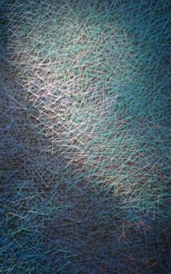 中美藝術(shù)家云端聯(lián)動 新型材料演繹纖維藝術(shù)新維度